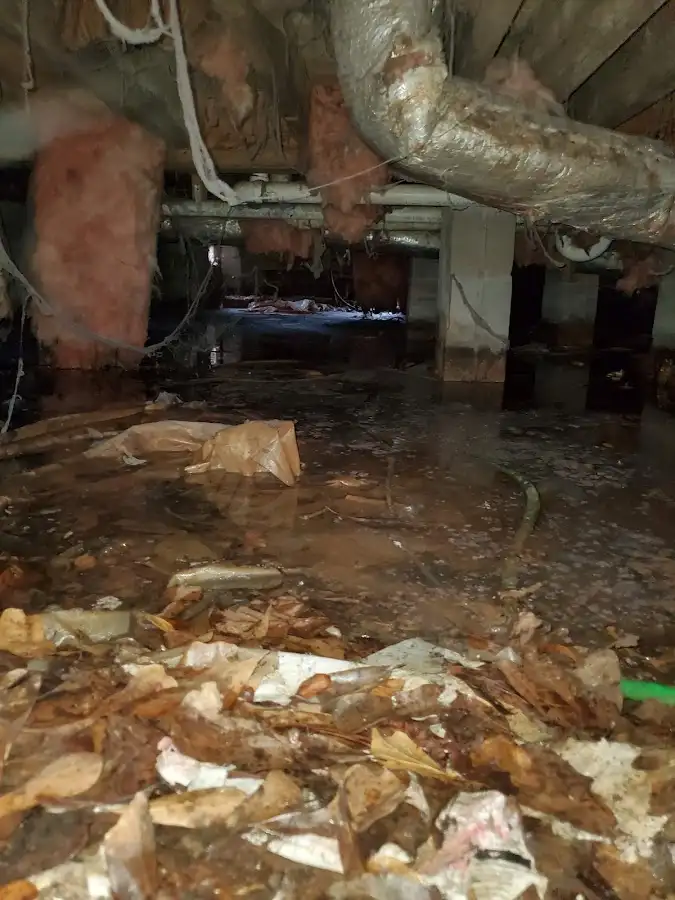 Crawl space flood assessment for Commercial Water Damage Restoration in Delaware