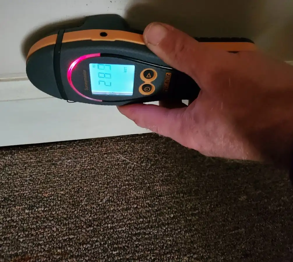 Moisture detection at baseboard during Sewage Cleanup & Sanitation in Delaware